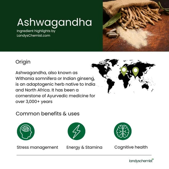 LyfeLabs™ Ashwagandha KSM-66 Stress & Recovery Support (Trusted by USA doctors)