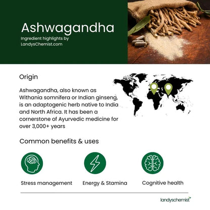LyfeLabs™ Ashwagandha KSM-66 Stress & Recovery Support (Trusted by USA doctors)